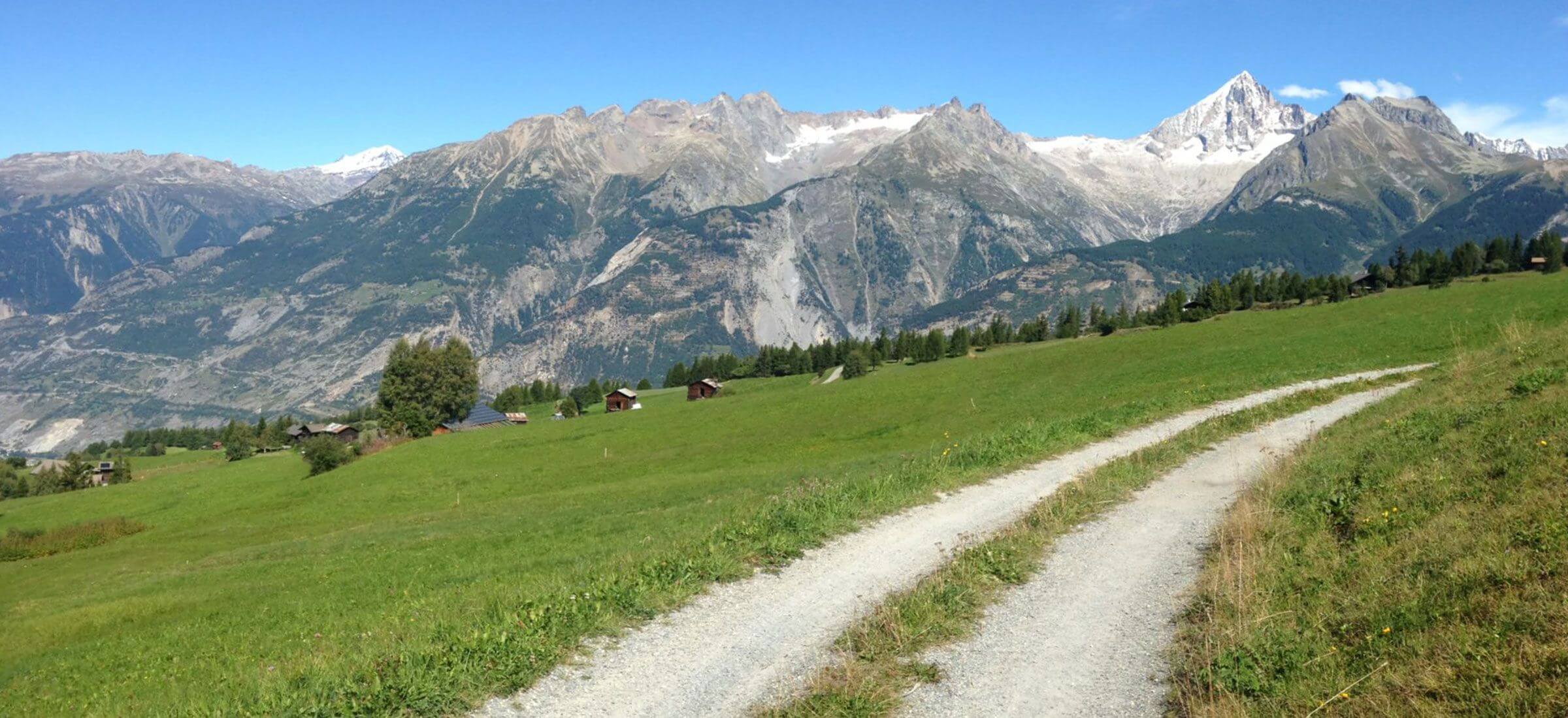 Mentale Stärke Weitblick Coach