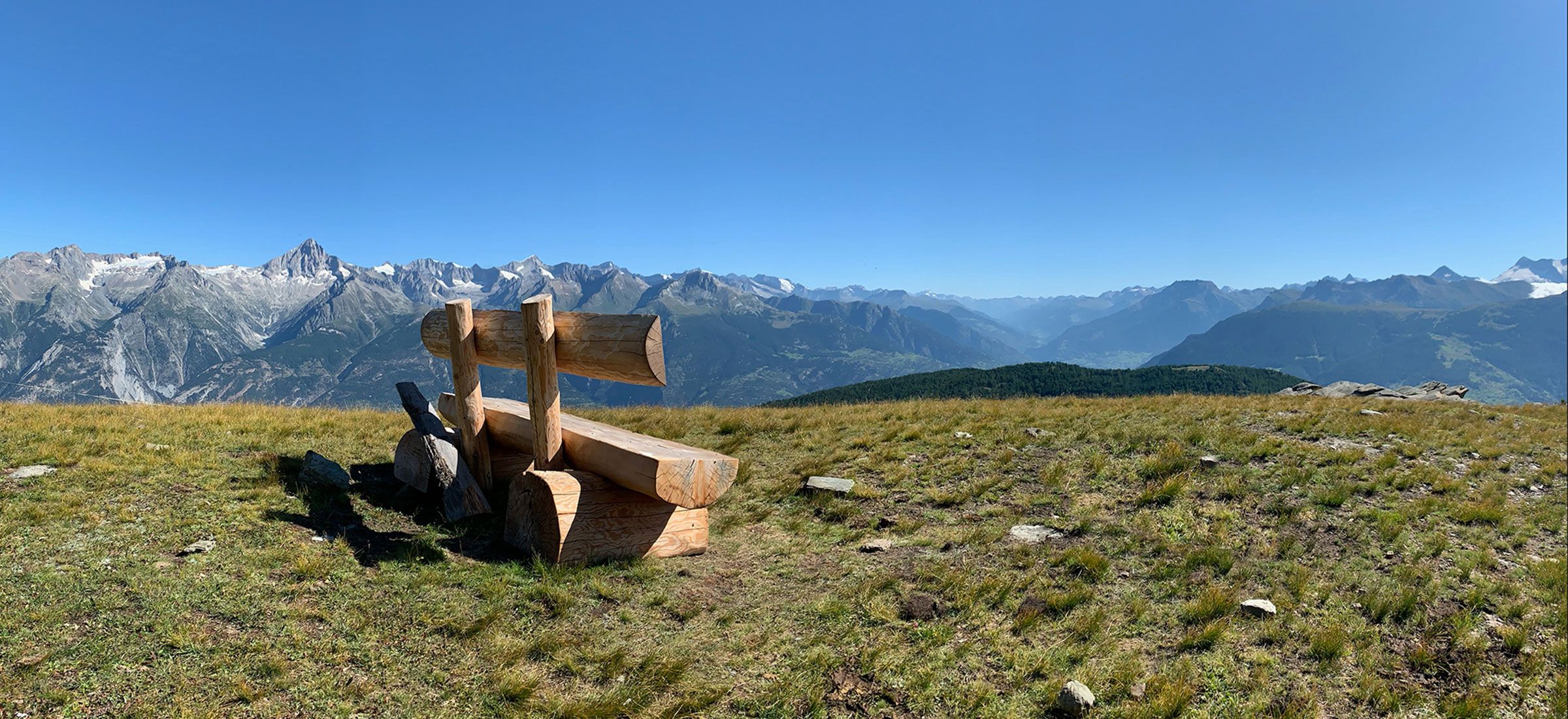 Angebot Weitblick Coach